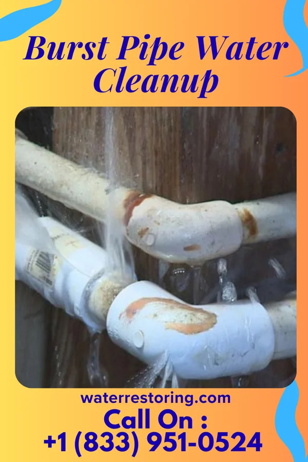 Burst Pipe Water Cleanup in Vinings, GA