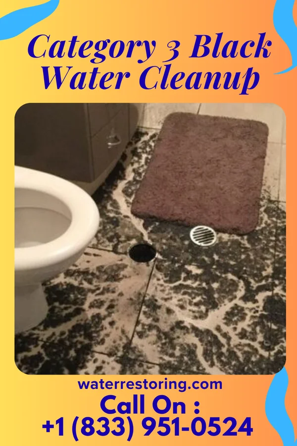 Category 3 Black Water Cleanup in Vinings, GA