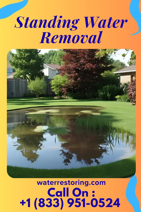 Standing Water Removal in Vinings, GA